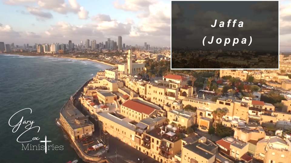 Jaffa